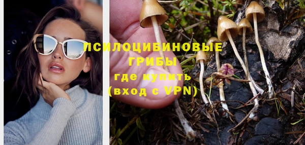 экстази Михайлов