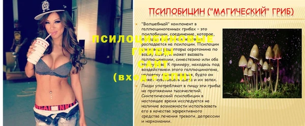 экстази Михайлов