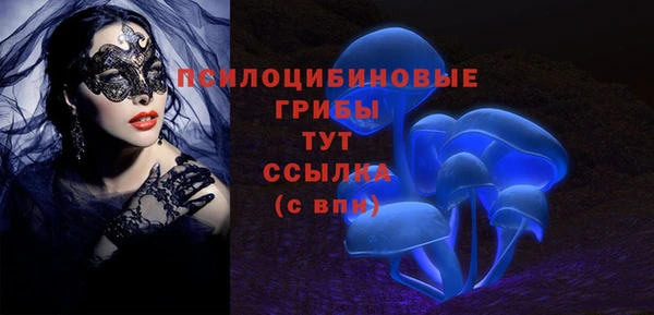 метадон Михайловск
