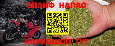 молекула духа Камышлов