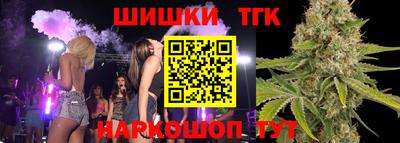 молекула духа Камышлов