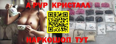 молекула духа Камышлов