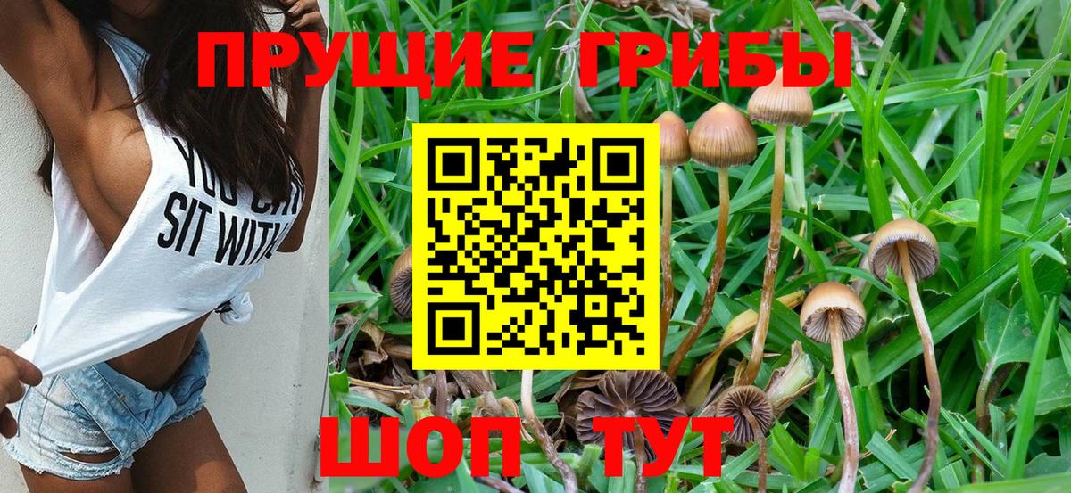 Галлюциногенные грибы мухоморы Пермь