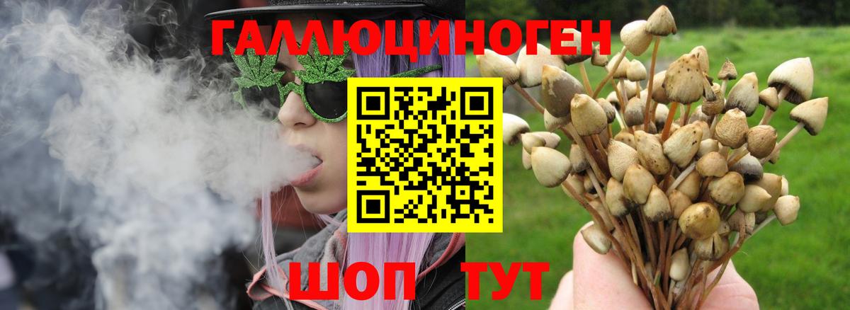 Псилоцибиновые грибы GOLDEN TEACHER  Вход с VPN  Пермь 